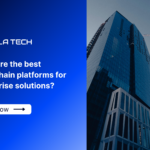 What are the best blockchain platforms for enterprise solutions?