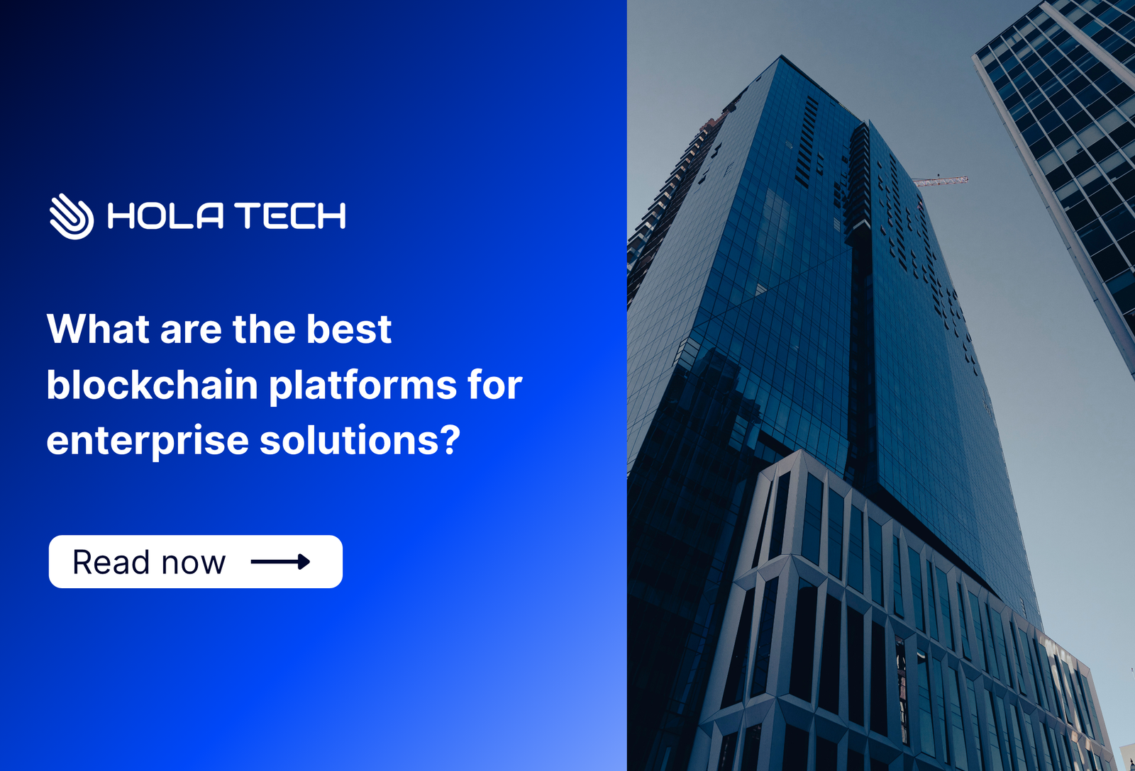 What are the best blockchain platforms for enterprise solutions?