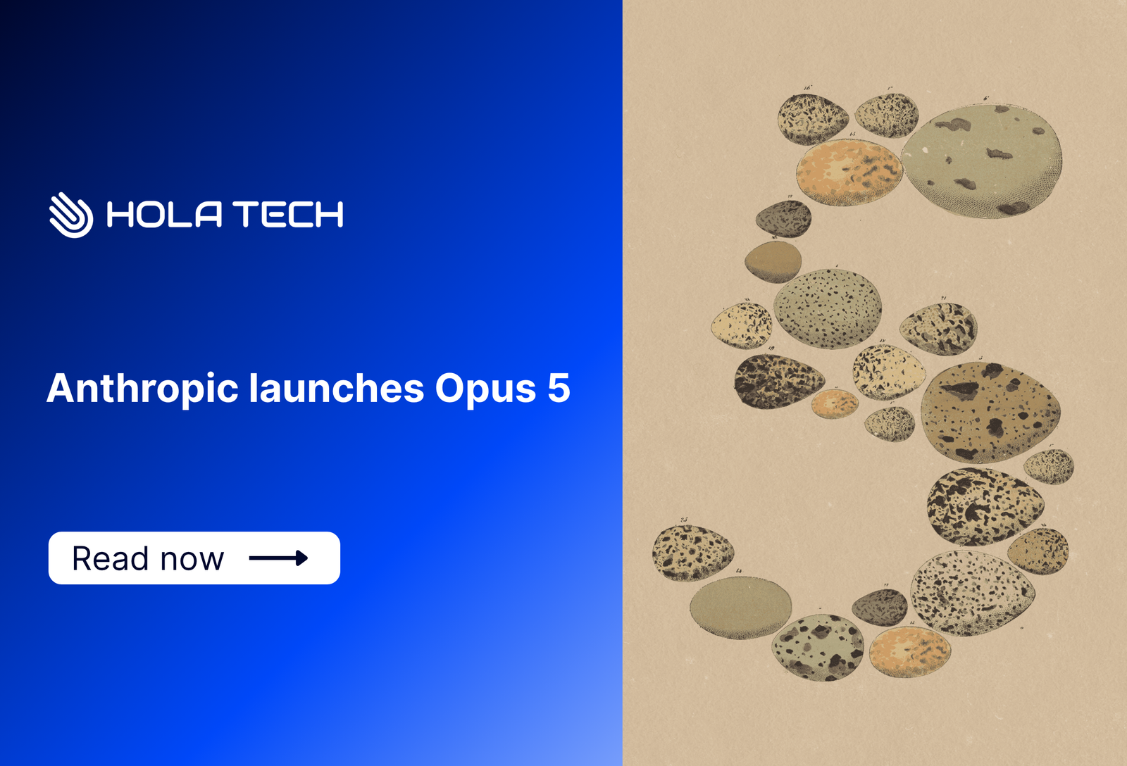 Anthropic launches Opus 5