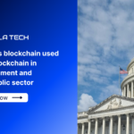 What is blockchain used for? Blockchain in Government and the Public Sector